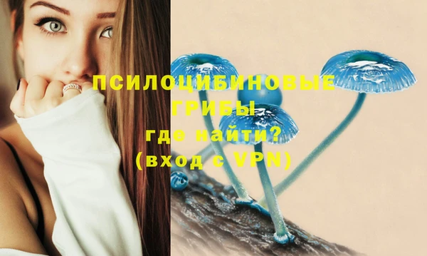 сатива Алзамай