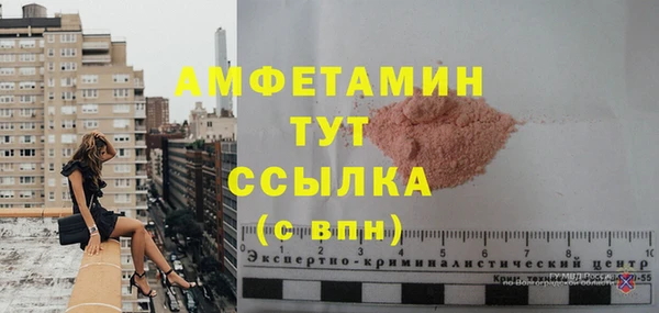 сатива Алзамай